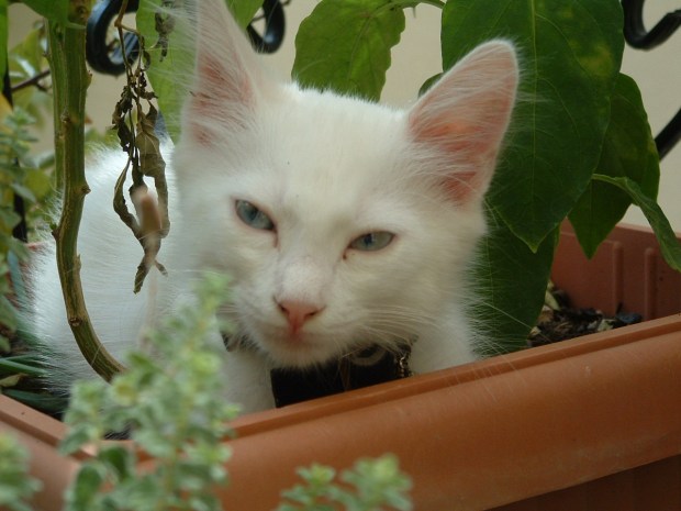 You Interrupted My Sleep!