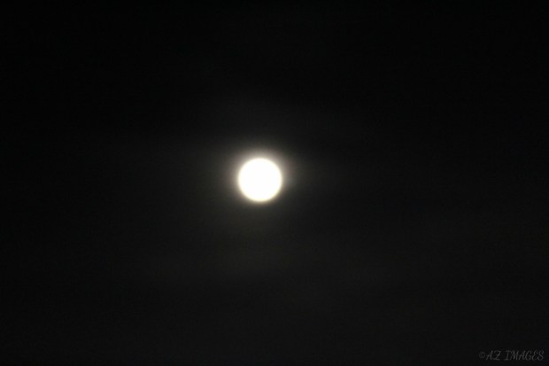 fullmoon3.jpg