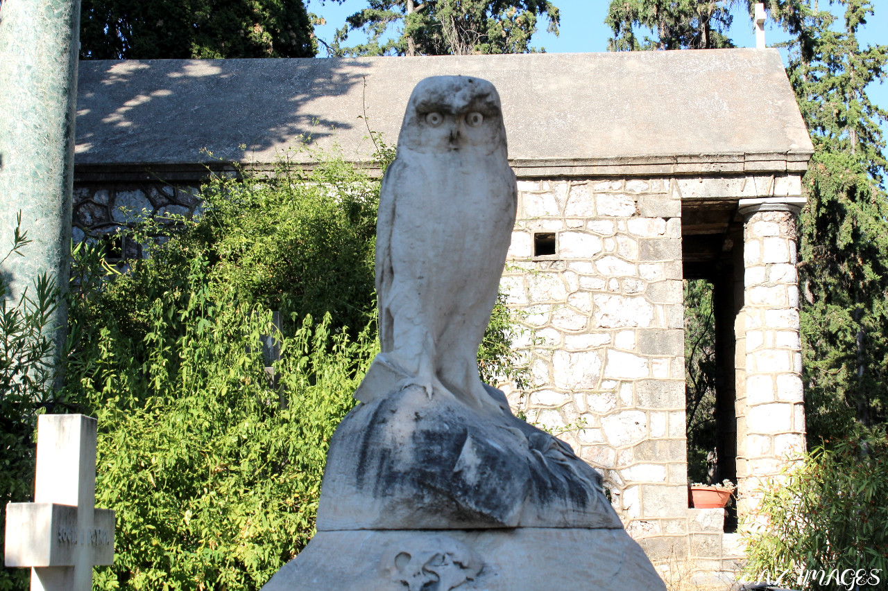 cemeteryowl23