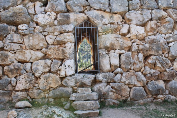 mycenae21