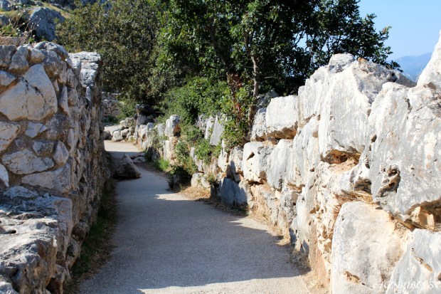 mycenae25